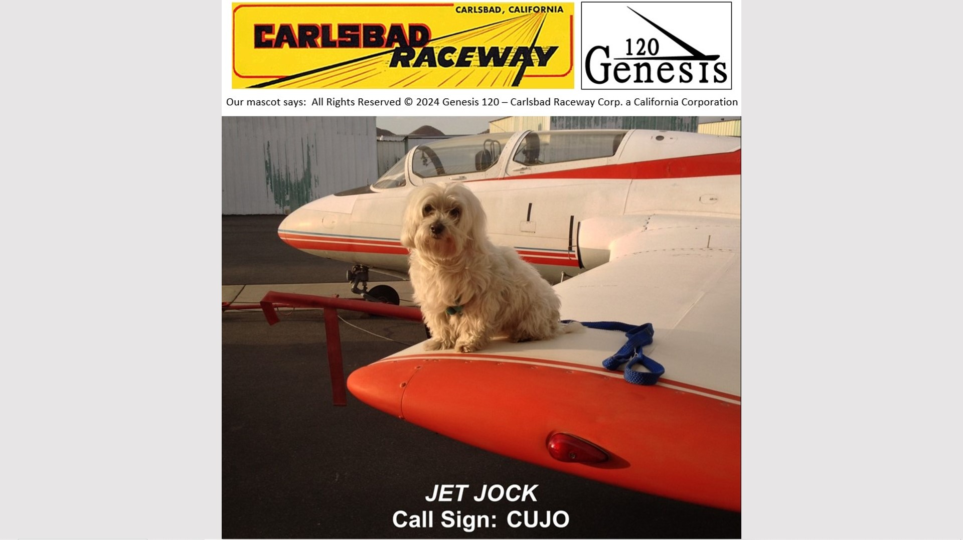 CALL SIGN: CUJO - COPYRIGHT